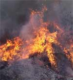 fire