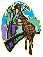 zoo