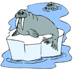 ice