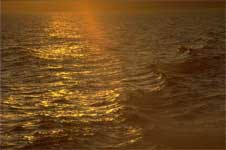 sea