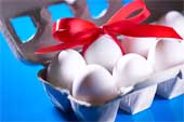 egg